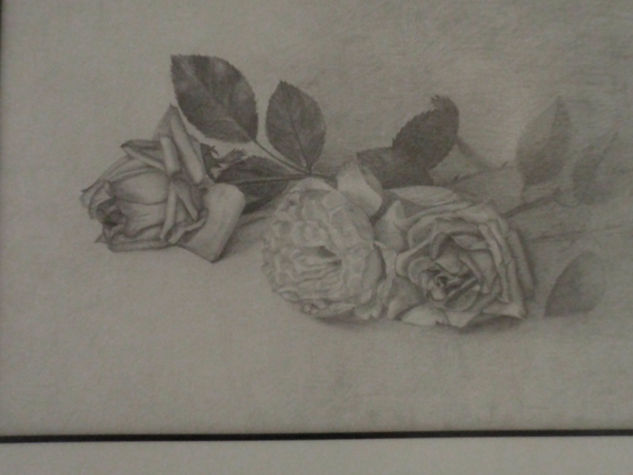 Rosas en Negro Pencil