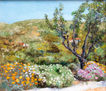 PAISAJE