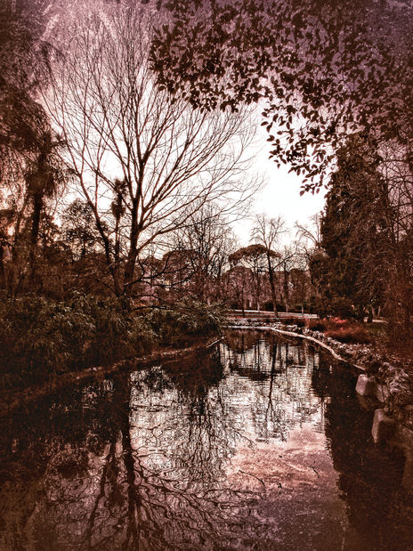 Reflejo vintage rojo