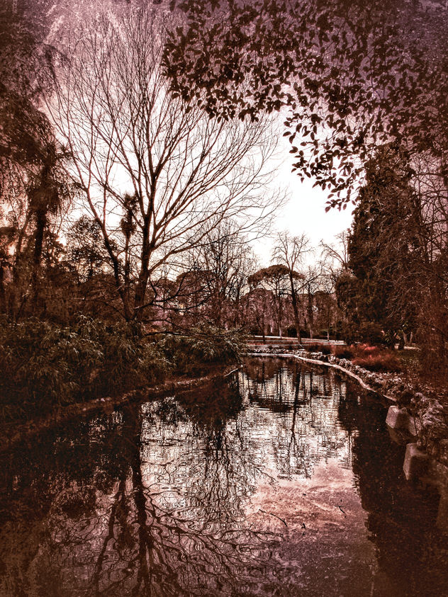 Reflejo vintage rojo