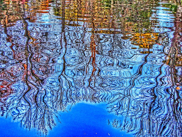 Reflejarte Nature Color (Digital)