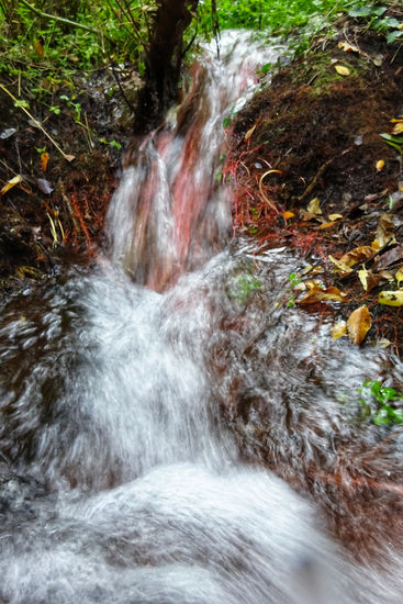 Salto Naturaleza Color (Digital)