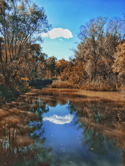 Nube Naturaleza Color (Digital)