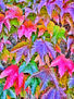 Otoño