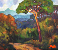 Cami de les guilleries