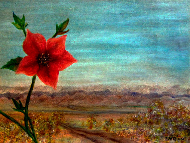 El paisaje en el camino hacia Dios por Alberto Thirion