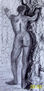 desnudo