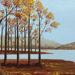 Bosques del mundo thumbnail 1