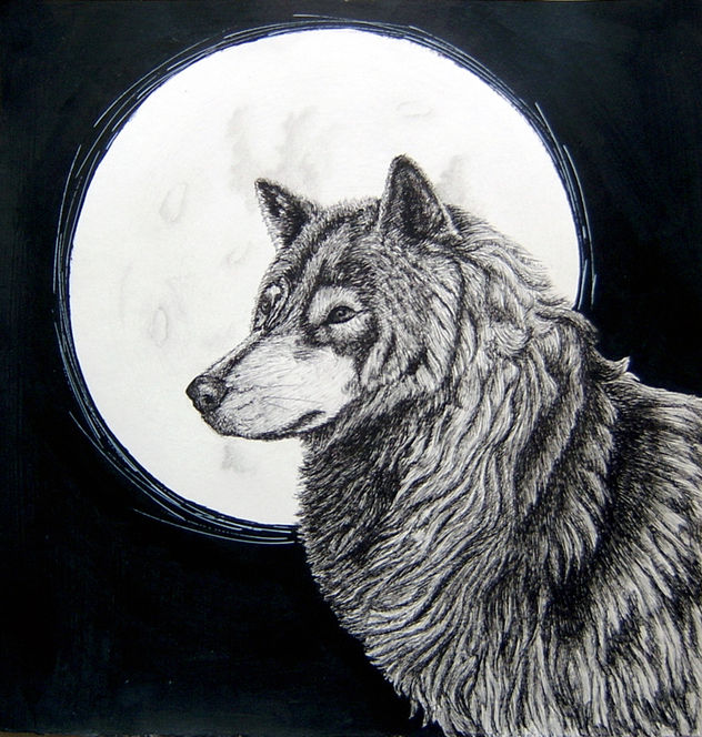 LOBO