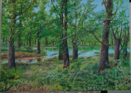 De los bosques...