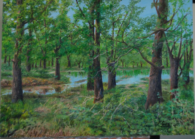 De los bosques gallegos. Provincia de la Coruña, España Oil Canvas Landscaping