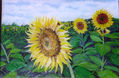 Girasoles