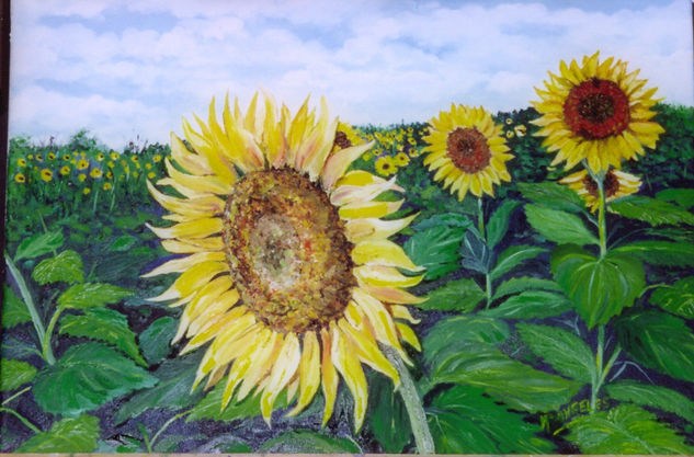 Girasoles Oil Canvas Landscaping