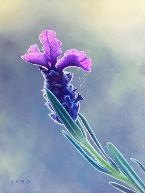 Hechizo de primavera