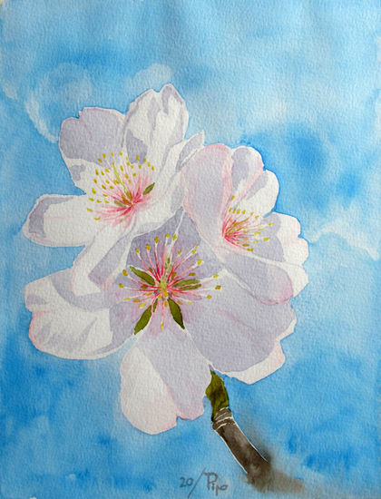 flores de almendro 6 Watercolour Paper Floral Painting