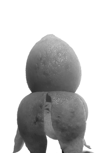 Fruta-cohete