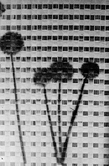 paisaje urbano con flores Conceptual/Abstract Black and White (Manual)