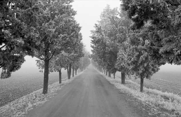 paisaje helado Naturaleza Blanco y Negro (Química)