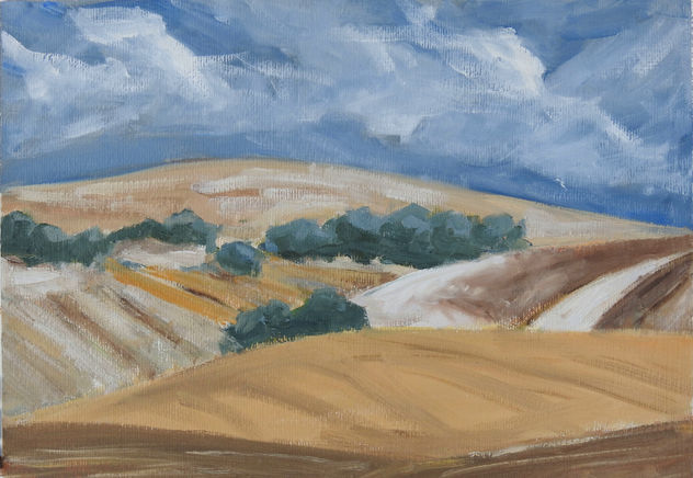 Tierras calmas en la provincia de Cádiz 2
