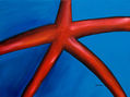 Estrella de mar