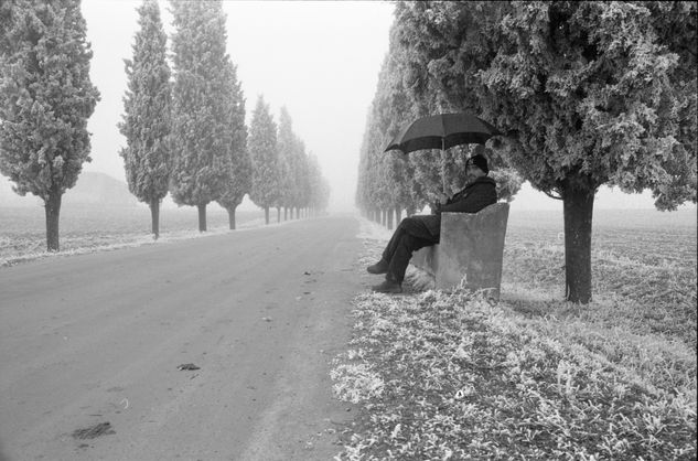 La espera Naturaleza Blanco y Negro (Química)