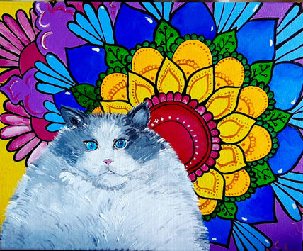 Gato iluminado