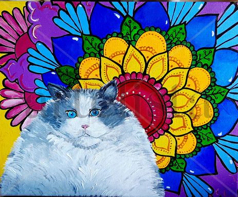 Gato iluminado