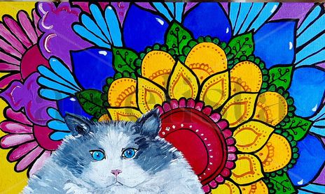 Gatosy mandalas