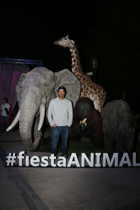 Animales varios