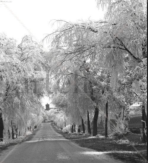 paisaje escarchado Naturaleza Blanco y Negro (Química)