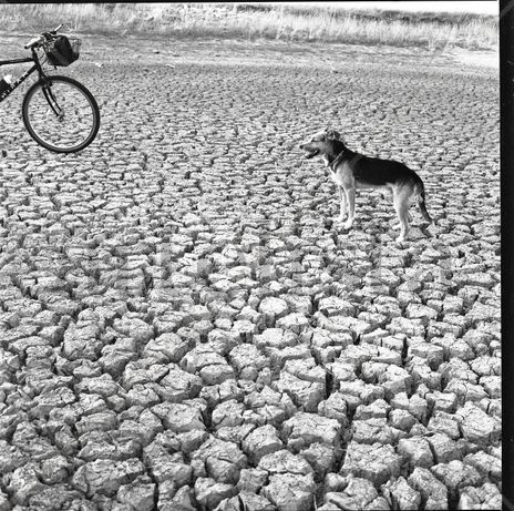 Cambio climatico