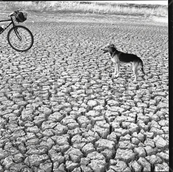 Cambio climatico Naturaleza Blanco y Negro (Química)