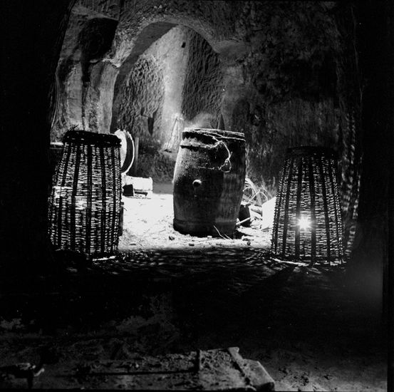 Bodega I Arquitectura e interiorismo Blanco y Negro (Química)