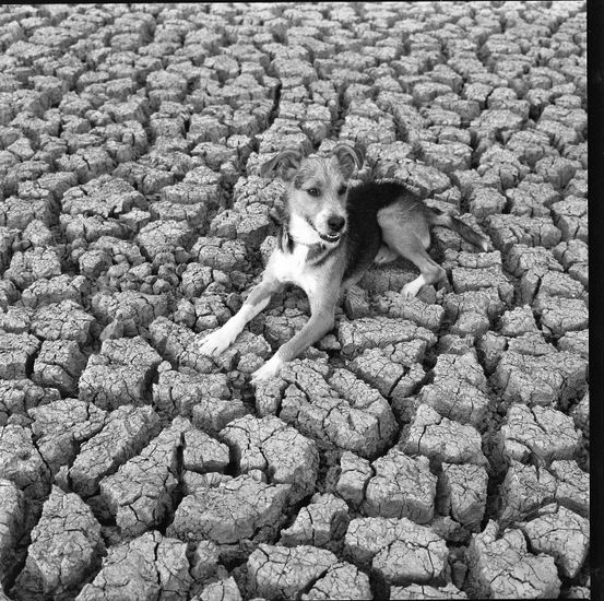 vida y muerte Naturaleza Blanco y Negro (Química)