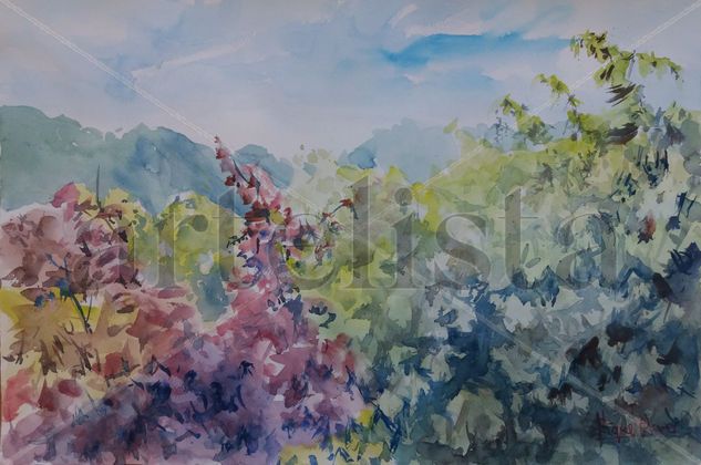 Naturaleza 7 Watercolour Paper Landscaping