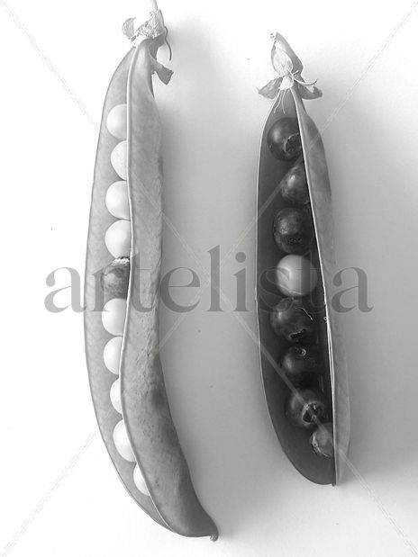 Perlas