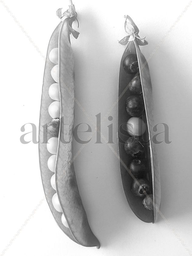 Perlas