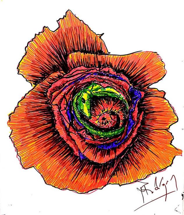 flor de la lagartija, año 2018, constitución, chile.