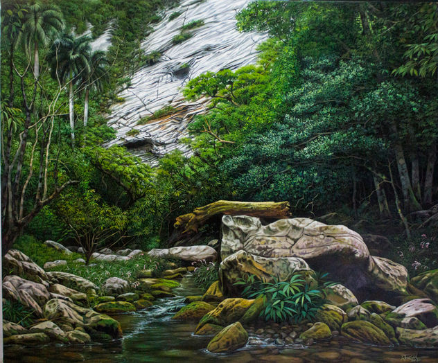 Caños del Rio Santa Cruz