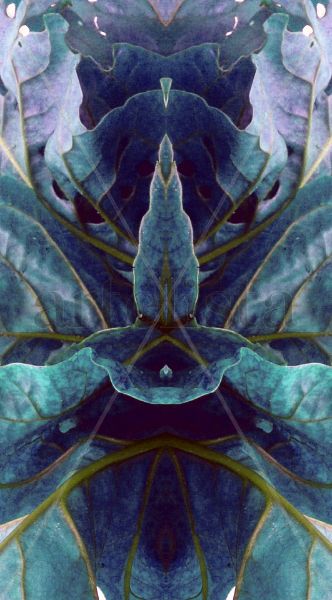 (s/t) De la serie Between Mirrors