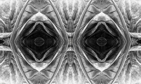 Between Mirrors