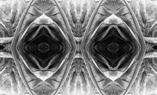 (st) De la serie Between Mirrors