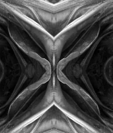 (st) De la serie Between Mirrors Other Themes Black and White (Digital)