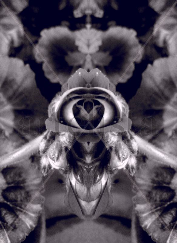 (st) De la serie Between Mirrors