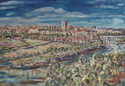 Panorámica de Zamora