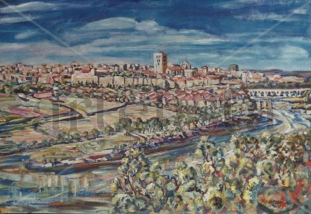 Panorámica de Zamora