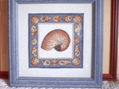 CARACOLA DE MAR