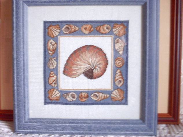CARACOLA DE MAR