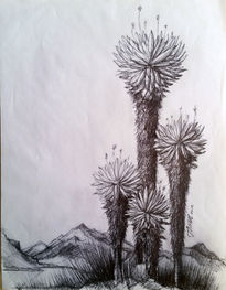 Tres Frailejones