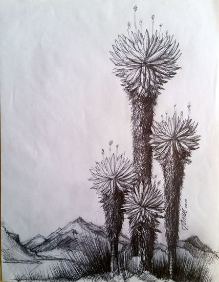 Tres Frailejones Rotulador Papel Paisaje